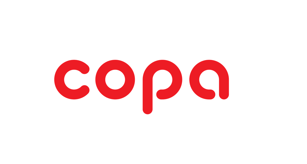 Ödemiş Copa klima bakım ve servisi